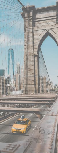Avocat New York City